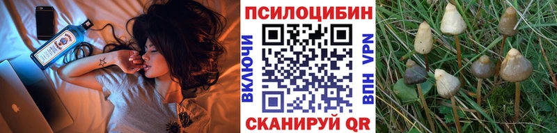 Галлюциногенные грибы мицелий  Купить закладки  Новокубанск 